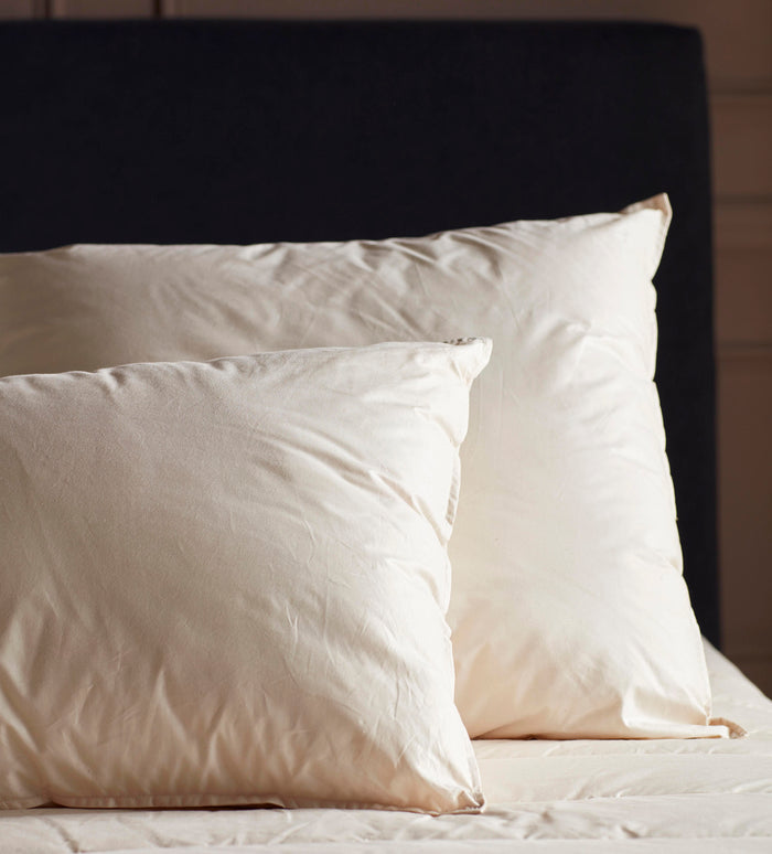 Baa Baa Bedtime Finest Organic Wool Pillow