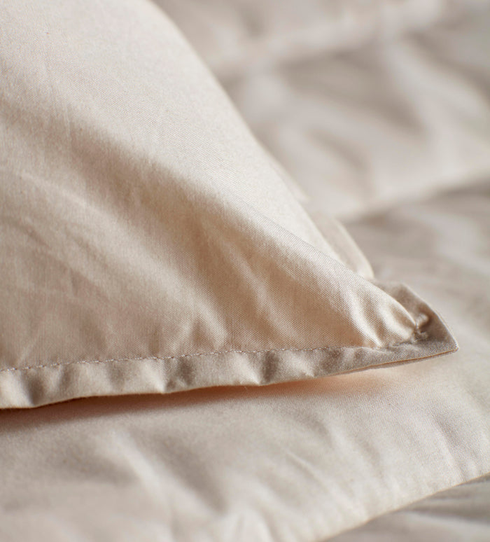 Baa Baa Bedtime Finest Organic Wool Pillow